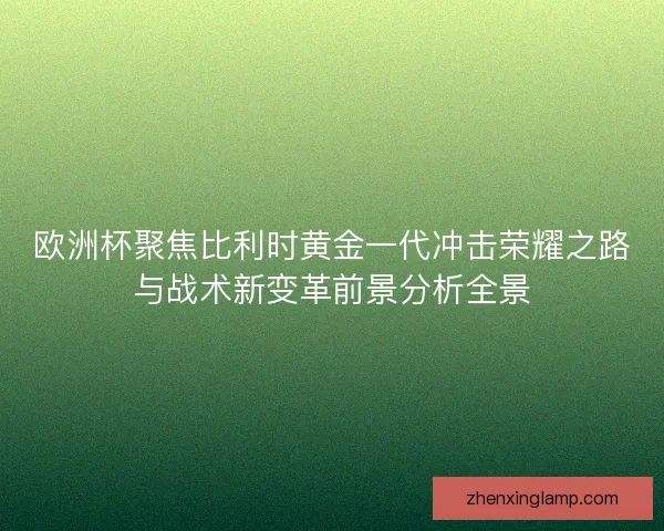 欧洲杯聚焦比利时黄金一代冲击荣耀之路与战术新变革前景分析全景 欧洲杯聚焦比利时黄金一代冲击荣耀之路与战术新变革前景分析全景