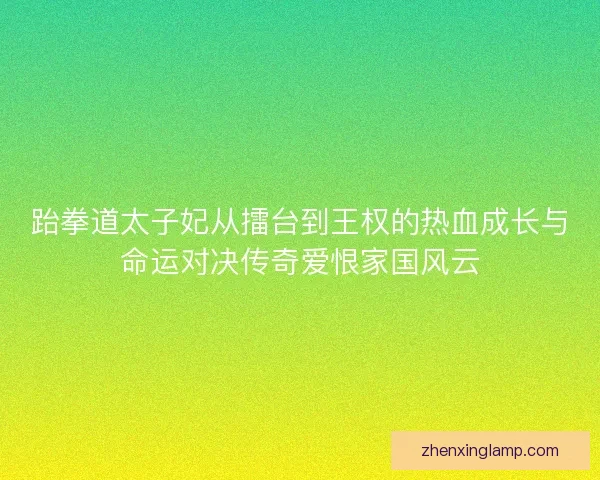 跆拳道太子妃从擂台到王权的热血成长与命运对决传奇爱恨家国风云