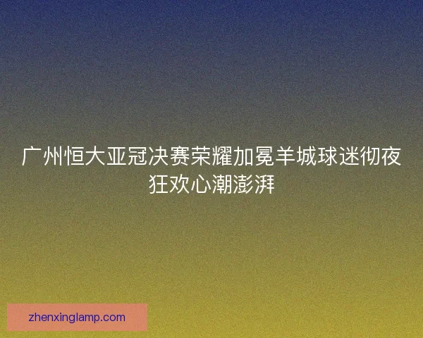 广州恒大亚冠决赛荣耀加冕羊城球迷彻夜狂欢心潮澎湃 广州恒大亚冠决赛荣耀加冕羊城球迷彻夜狂欢心潮澎湃
