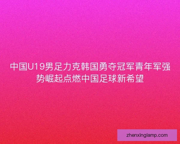中国U19男足力克韩国勇夺冠军青年军强势崛起点燃中国足球新希望