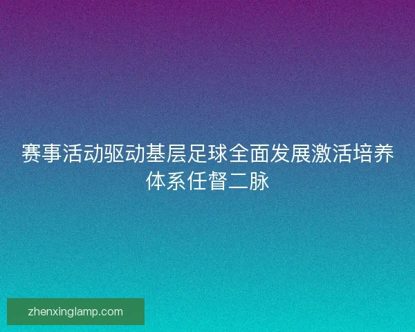 赛事活动驱动基层足球全面发展激活培养体系任督二脉